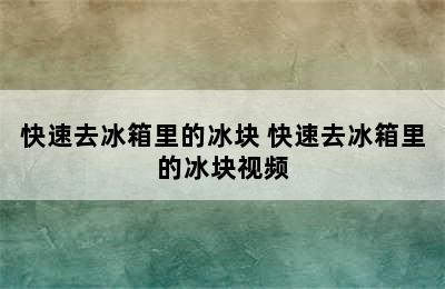 快速去冰箱里的冰块 快速去冰箱里的冰块视频